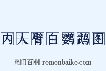 内人臂白鹦鹉图是什么意思的图片